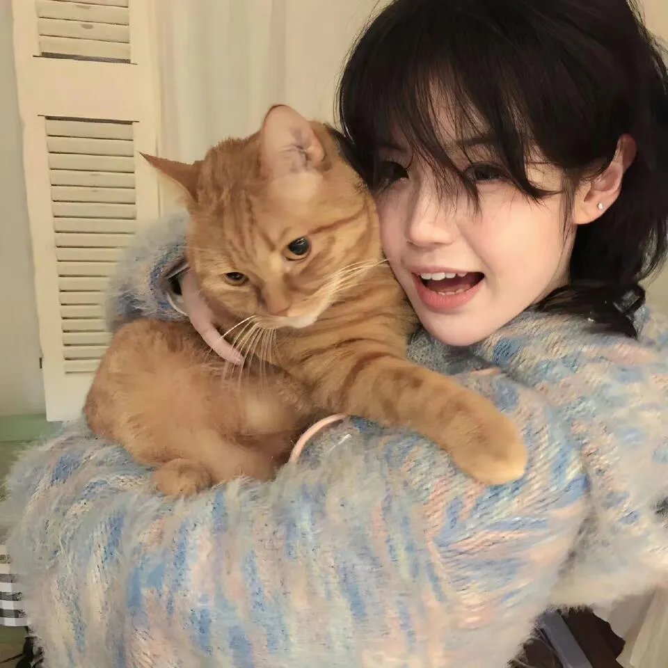 大叔与猫